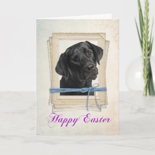 ブラックラボイースターカード シーズンカード (正面)