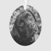 ブラックラボカスタマイズ可能なクリスマス オーナメント (正面)