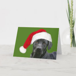 ブラックラボクリスマス シーズンカード