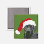 ブラックラボクリスマス マグネット (正面/裏面)