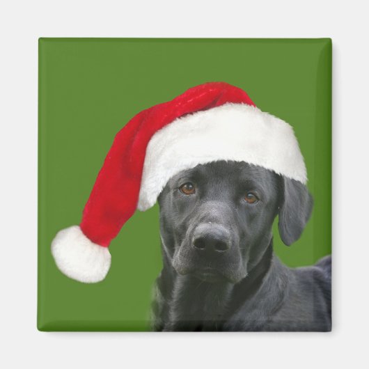 ブラックラボクリスマス マグネット (正面)