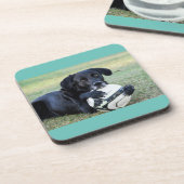 ブラックラボコースター。6組。 コースター (左側)