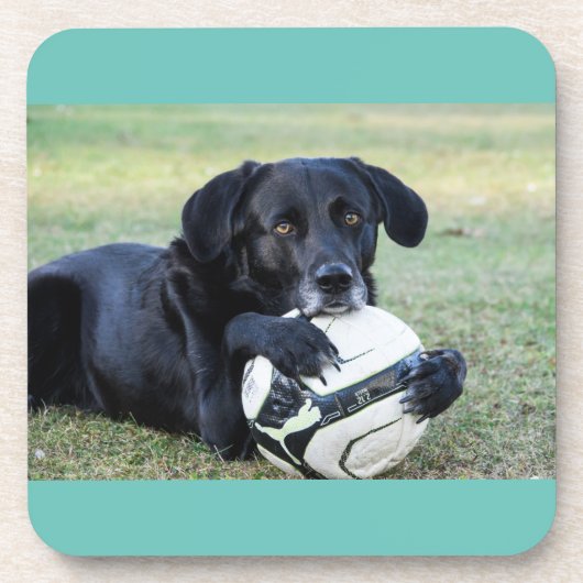 ブラックラボコースター。6組。 コースター (正面)