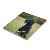 ブラックラボセラミックタイル タイル (側面)