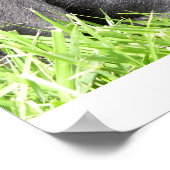 ブラックラボデイドリーマーフレームプリント ポスター (角)