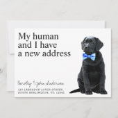 ブラックラボドッグ移動 案内状 (正面)