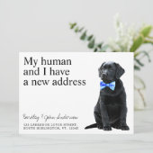 ブラックラボドッグ移動 案内状 (スタンド正面)