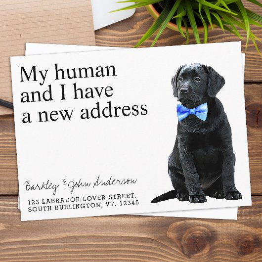 ブラックラボドッグ移動 案内状