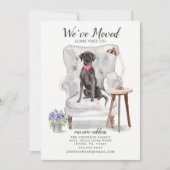 ブラックラボドッグ |お知らせ 案内状 (正面)