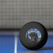 ブラックラボパピースターリーナイト 卓球ボール (ネット)