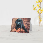 ブラックラボパピー カード (黄色い花)