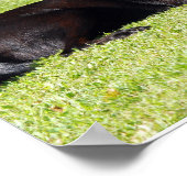 ブラックラボプリント ポスター (角)