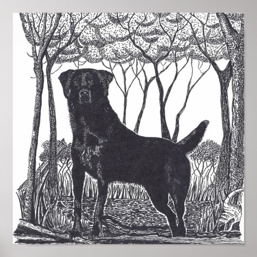 ブラックラボポスター ポスター (正面)