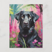 ブラックラボポートレートアモダンート ポストカード (正面)