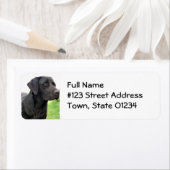 ブラックラボ差出人住所ラベル ラベル (インサイチュ)