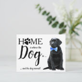 ブラックラボ引っ越しましたドッグ移動 案内ポストカード (スタンド正面)