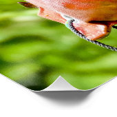 ブラックラボ検索 ポスター (コーナー)