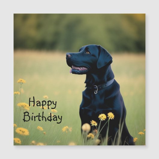 ブラックラボ磁気カード (正面)