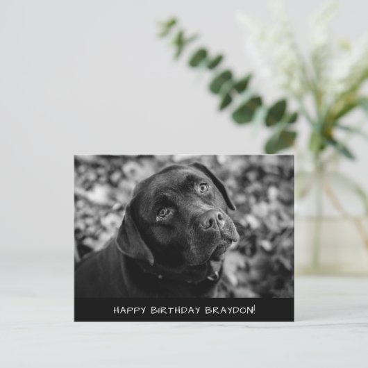 ブラックラボ誕生日はがき ポストカード (スタンド正面)