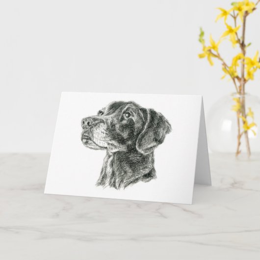 ブラックラボ カード (黄色い花)