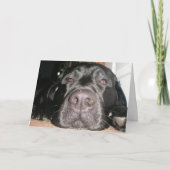 ブラックラボ カード (正面)