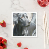 ブラックラボ スタンダードカクテルナプキン (インサイチュ)