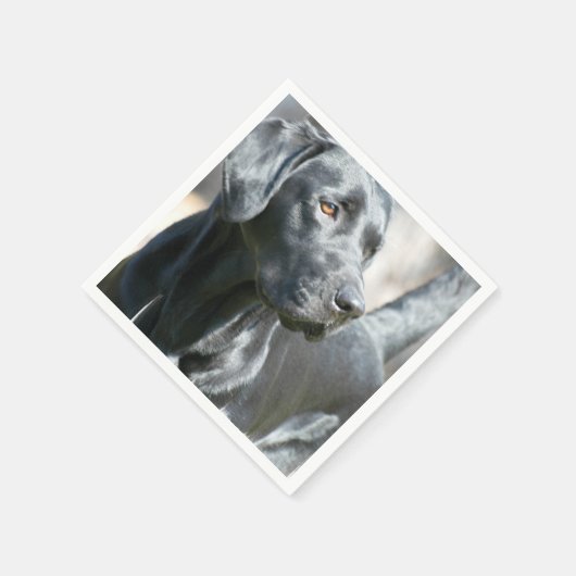 ブラックラボ スタンダードカクテルナプキン (角)