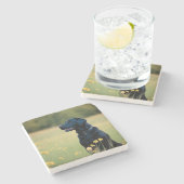 ブラックラボ ストーンコースター (横)