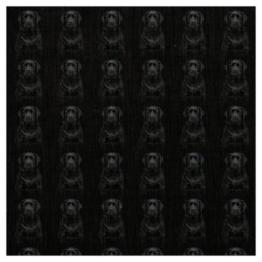 ブラックラボ ファブリック (見本)