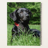 ブラックラボ プランナー手帳 (裏面)