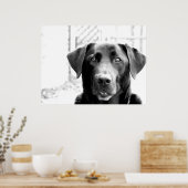 ブラックラボ ポスター (キッチン)