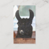 ブラックラマファームアニマルビジネスカード 名刺 (裏面)