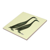 ブラックランナーダックス タイル (側面)