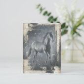 ブラックランニングシズスタリオン ポストカード (スタンド正面)