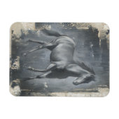 ブラックランニングシズスタリオン マグネット (横)