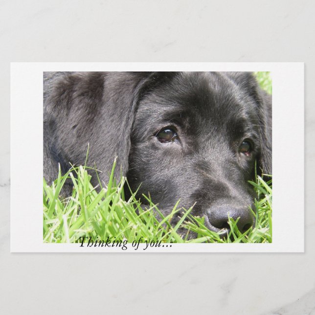 ブラックラ考えボ・オブ・ユー (正面)