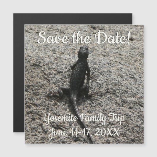 ブラックリザード (正面/裏面)