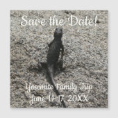 ブラックリザード (正面)