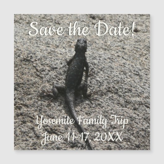 ブラックリザード (正面)