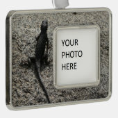 ブラックリザード シルバープレートフレームオーナメント (右)