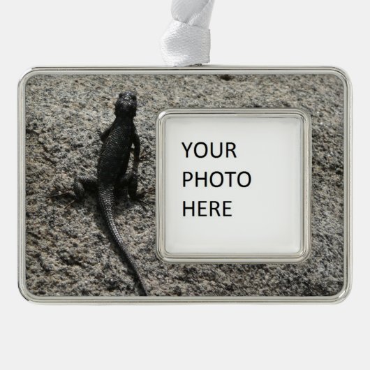 ブラックリザード シルバープレートフレームオーナメント (正面)