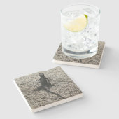 ブラックリザード ストーンコースター (横)