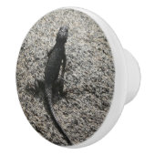 ブラックリザード セラミックノブ (右)