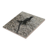 ブラックリザード タイル (側面)