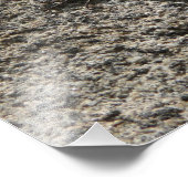 ブラックリザード フォトプリント            (角)