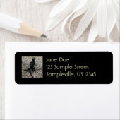 ブラックリザード ラベル (インサイチュ)