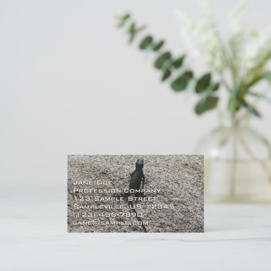 ブラックリザード 名刺 (スタンド正面)