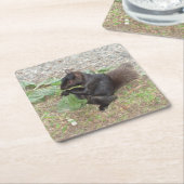 ブラックリスのコースターセット（美） スクエアペーパーコースター (アングル)