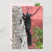 ブラックリスのフラットカード (正面/裏面)