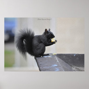 ブラックリス食べ物レルのApple Wildlifeフォトプリント ポスター